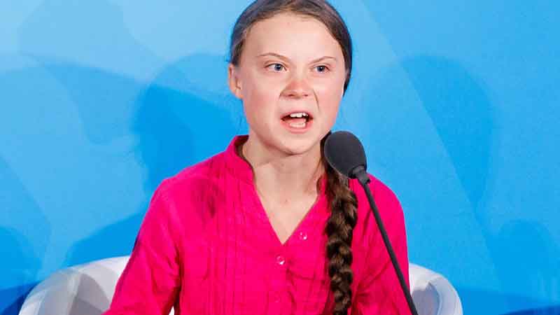 Great disclosure about Greta Thunberg's toolkit Poetic for Justice group prepared the document