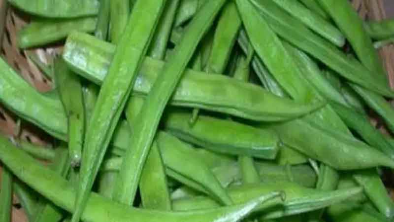 Guar pods are the cure for serious diseases, there are tremendous benefits for health