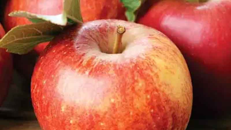 Apple helps in removing the problem of migraine, know other benefits