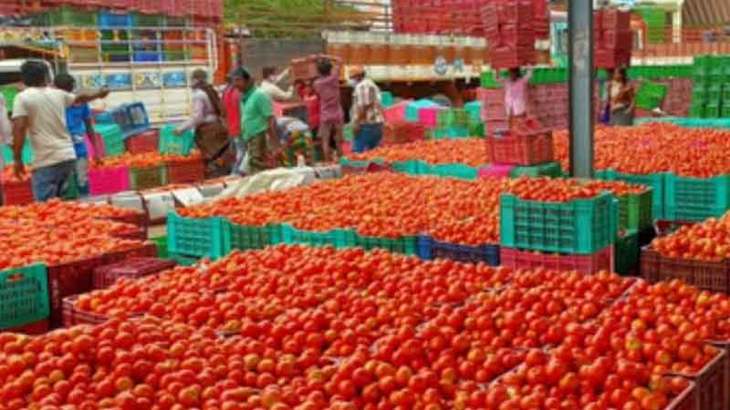 The price of tomatoes is skyrocketing, in this state the price is Rs 140