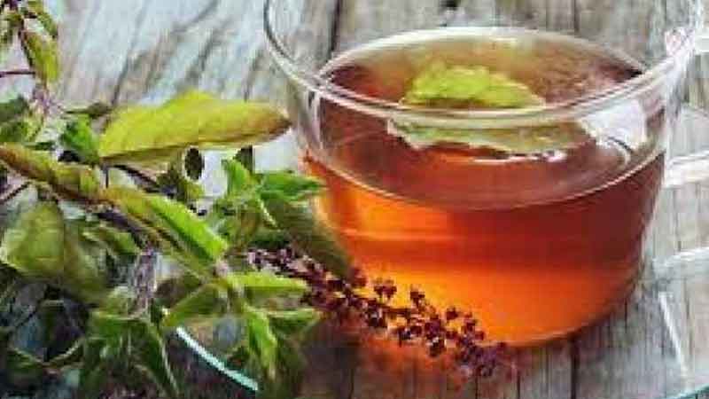 Know the right way to make basil decoction, eliminate sore throat in some time